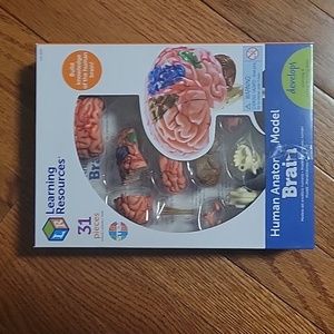 Learning Resources Brain Model